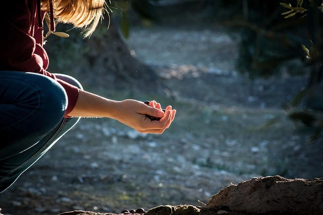 Les routines matinales du guides de déconnexion Hors-ligne